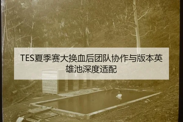 TES夏季赛大换血后团队协作与版本英雄池深度适配